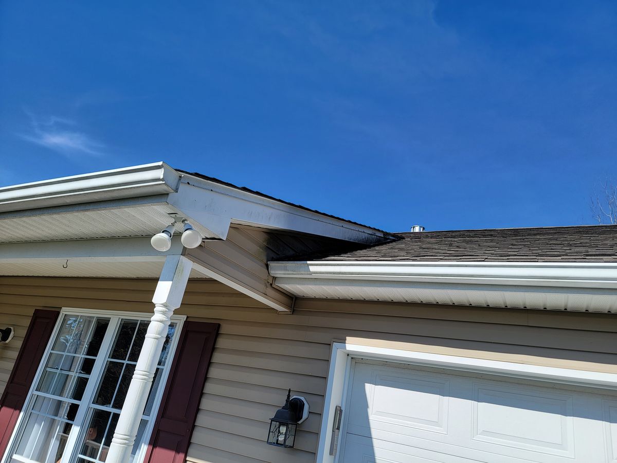 Gutters and fascia before cleaning