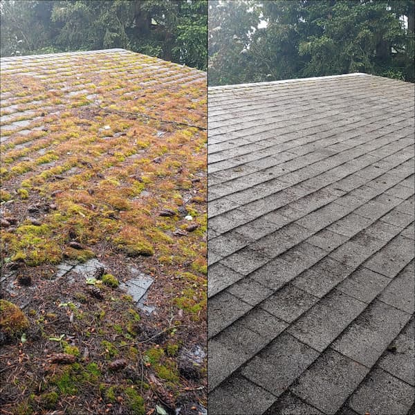 Roof cleaning before and after - moss removal from shingles